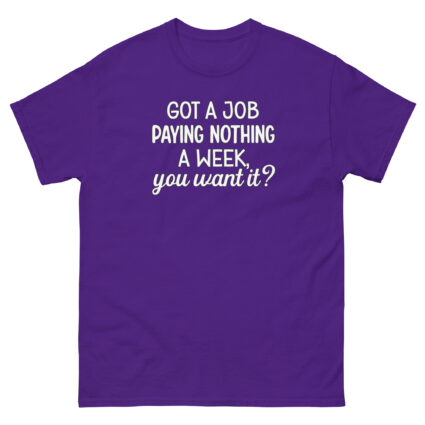 1. Got a job paying nothing a week you want it funny sarcasm Unisex classic tee